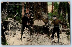 1910 British Columbia Canada Postcard Cutting Tree Forest Man Scenic View Posted