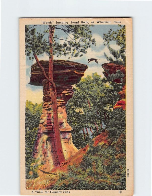 Postcard Watch Jumping Stand Rock at Wisconsin Dells Wisconsin USA