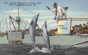 Jumping Porpoises at Feeding Time Marine Studios Marineland, Florida  