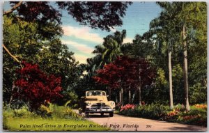 1959 Palm Lined Drive In Everglades National Park Florida FL Posted Postcard