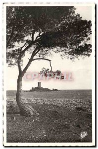 Postcard Modern Surroundings Of Saint Raphael Agay L & # 39Ile d & # 39Or