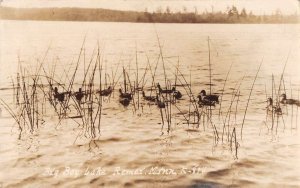 Remer Minnesota Big Boy Lake Ducks Swimming Real Photo Postcard AA56216