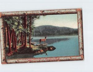 Postcard In the Adirondack Mountains, New York