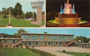 Cadillac, Michigan, Maple Hill Motel, AA369-12