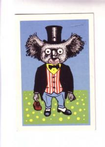 Koala, Formal Wear, Australia, Dressed Animals, Used 1982