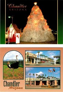 2~4X6 Postcards  Chandler, AZ Arizona  TUMBLEWEED CHRISTMAS TREE & STREET SCENES