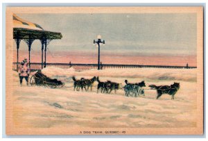 Quebec Canada Postcard Winter Scene A Dog Team Sleigh c1940's Vintage Unposted