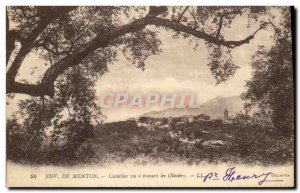 Postcard From Old Approx Menton Castellar seen through the olive trees