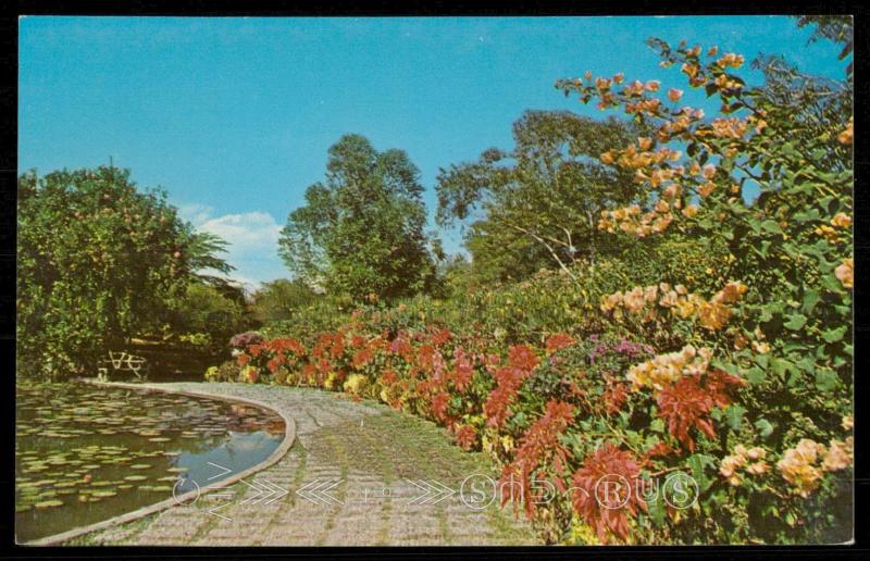 Sunken Gardens - Royal Botanic Gardens, Hope, Jamaica W.I.