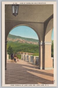 Lake Lure North Carolina~Rumbling Bald Mountain @ Lake Lure Inn~Linen Postcard