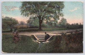 Beautiful Mineral Spring~Wing Park~Elgin Illinois~Lady On The Stairs~PM 1911 PC