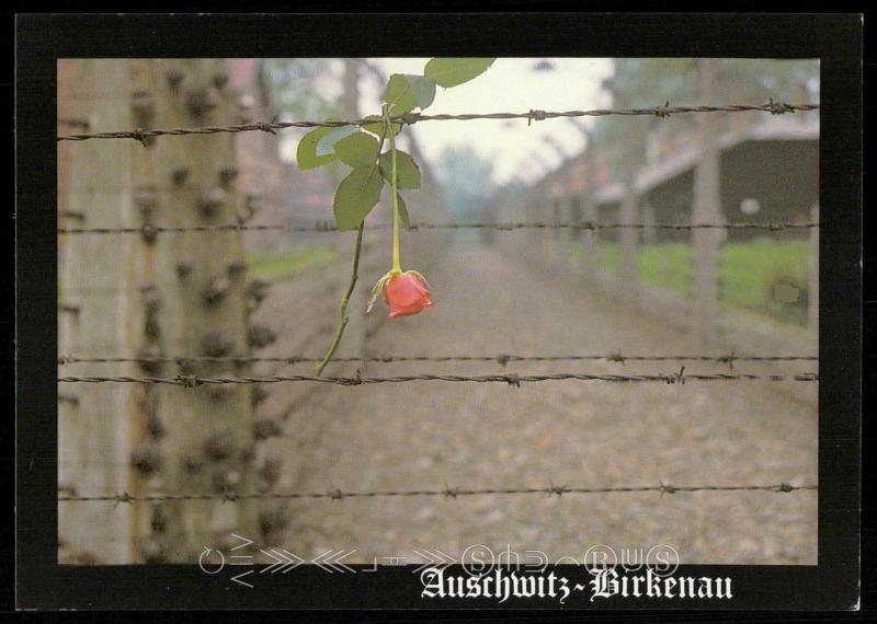 Auschitz-Birkenau