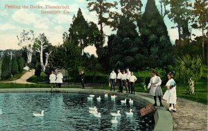 Postcard C-1910 Georgia Savannah Feeding ducks Thunderbolt people 24-61