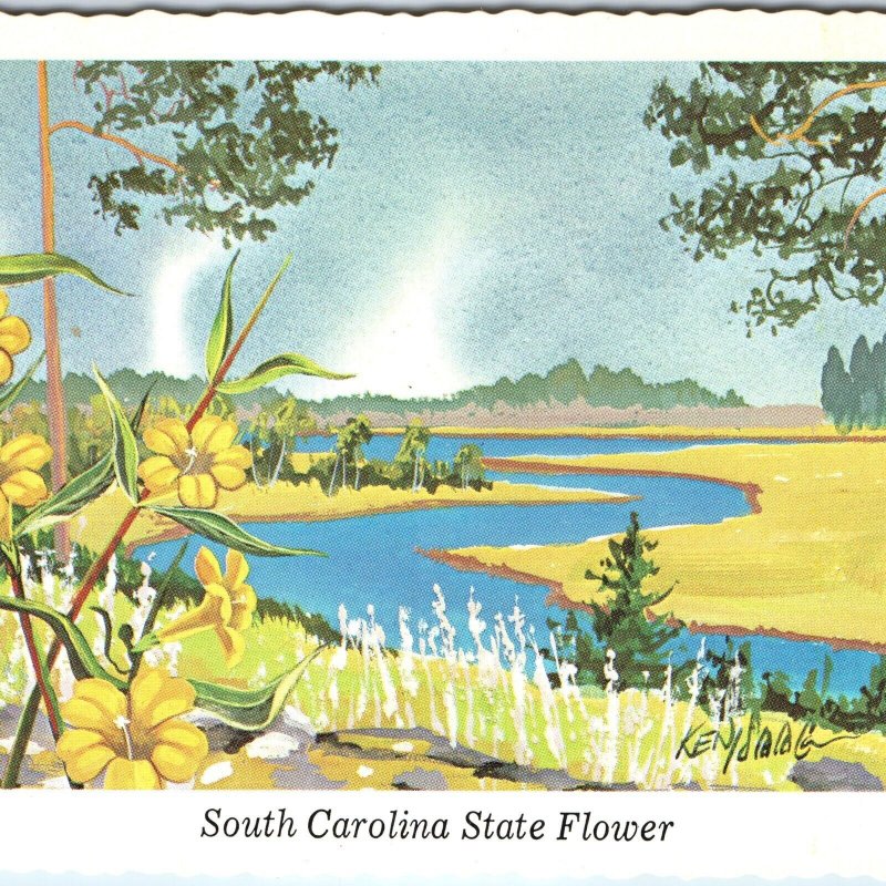 1968 SC South Carolina State Flower Yellow Jessamine Ken Haag Painting Art A334