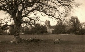 C. 1910 The R.A.C. Cirencester, Gloucester, UK Postcard P177