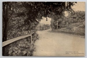 Mt Holly Park PA Mountain Drive Pennsylvania Cumberland Co c1910 Postcard S11