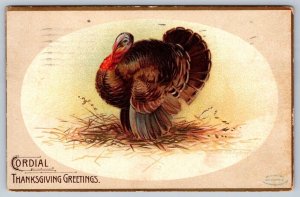 Cordial Thanksgiving Greetings, Turkey, 1907 Postcard, Ellen H. Clapsaddle