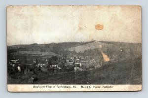 Postcard PA Taylorstown Pennsylvania Bird's Eye View of Town c1909 AD22