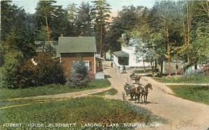 Blodgett Landing 1907 Forest House postcard Lake Summit New Hampshire 12003