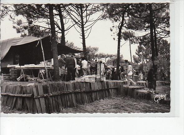 FROMENTINE - Le Marché au camping - très bon état