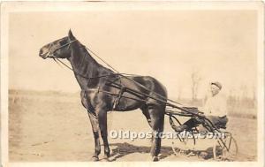 Horse Trotter Horse Racing Unused 