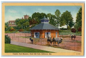 c1940 Camels Park Mansion Druid Hill Park Baltimore Maryland Vintage MD Postcard 