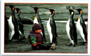 King penguins march past a boy on South Georgia Island, U. K. Overseas Territory