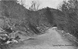 Jamaica Vermont~Local Option~Cabinet by Dirt Road on Forest Mountainside~1907