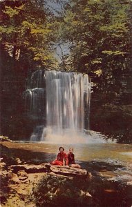 Harrison Wright Falls Ricketts Glen State Park - Luzerne County, Pennsylvania...