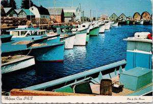 Malpeque Cove PEI Prince Edward Island Cabot Park Area Boats Unused Postcard D55