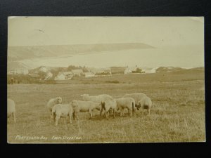 Wales Swansea The Gower PORT EYNON BASY & SHEEP from OVERTON c1915 RP Postcard