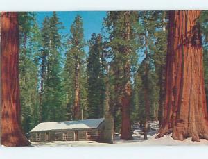 Pre-1980 YOSEMITE NATIONAL PARK Stockton & Modesto California CA hk6965