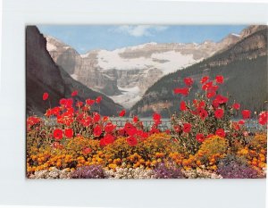 Postcard Lake Louise and Victoria Glacier, Banff National Park, Canada