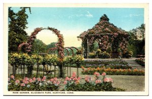 Vintage Rose Garden, Elizabeth Park, Hartford, CT Postcard