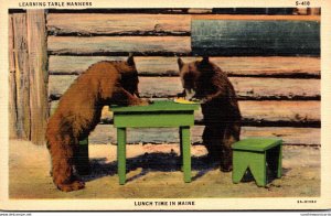 Bears Learning Table Manners Lunch Time In Maine 1942 Curteich