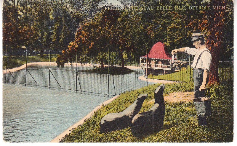 Feeding Seals - Belle Isle  Detroit, Michigan  1916