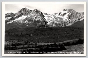 Stanley Idaho RPPC Lines of Pines In Foothills of The Sawtooths  Postcard V21