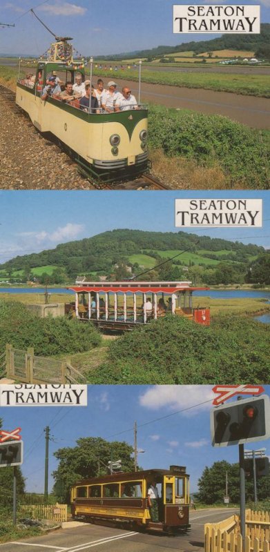 Seaton Tramway 3x Unusual Bus Trams Postcard s