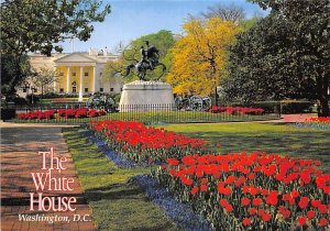 The White House The White House, Washington, D.C.