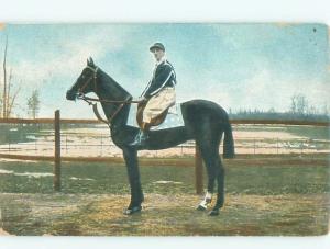 Divided-Back HORSE SCENE Great Postcard AA9390