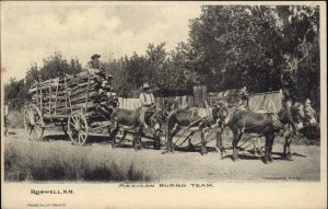Roswell New Mexico NM Mexican Burro Team c1910 Postcard