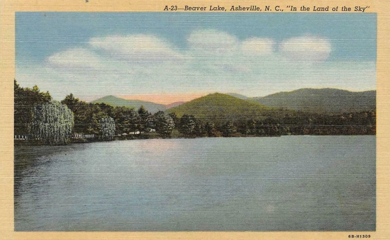 ASHEVILLE, NC North Carolina  BEAVER LAKE SCENE   c1940's Linen Postcard