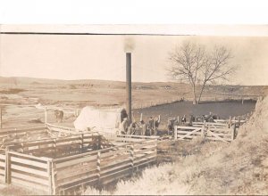 Farm Ranch Scene Dipping Sheep Real Photo Vintage Postcard AA74674