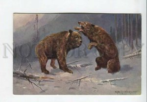 3183014 Bear hunting in winter by MULLER Vintage postcard