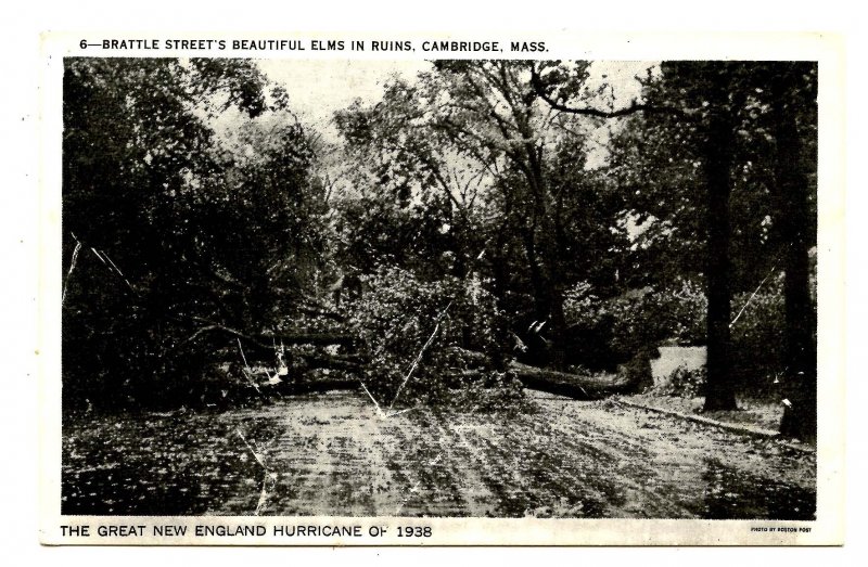 MA - Cambridge. Brattle Street Ruins, Great NE Hurricane, 1938. (damaged card)