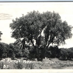 c1910s Unknown Neb. Norky's Park RPPC Real Photo Lake Korky Crete NE Nebr A127