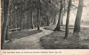 Vintage Postcard Tan Bark Walk Glenwood Grounds Delaware Water Gap PA