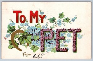 To My Pet, Large Floral Letter, Flowers, Horseshoe, 1908 Postcard, Flag Cancel