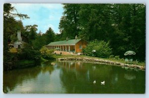 Highlands North Carolina NC Postcard Scenic View Of Mitchell's Motel Inn 1979