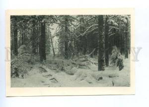 142518 Winter by SHISHKIN vintage Russian PC